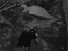 Nad wszystkim i wszystkimi unosił sie świąteczny duch karpia