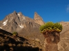 Mt kenia. Z lewej Batian, z prawej Nelion